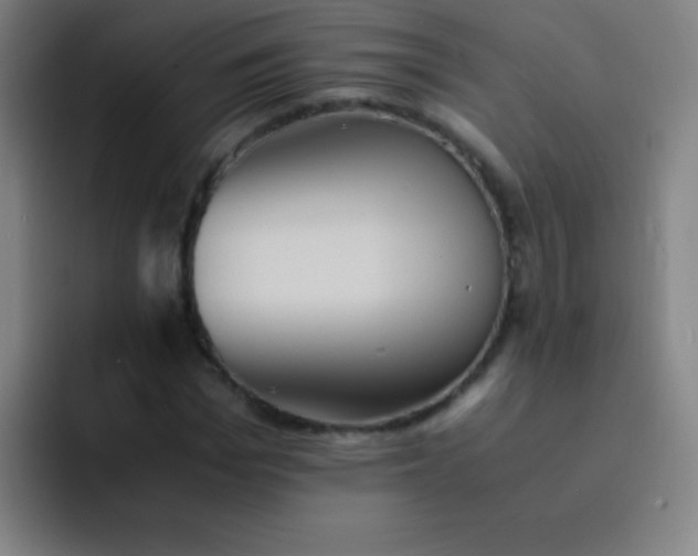 X0000091470969200709241302