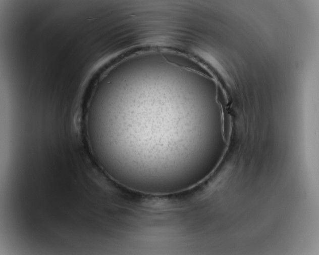 X0000091470971200709241302