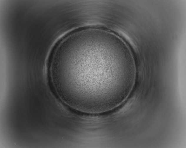 X0000091470975200709241302