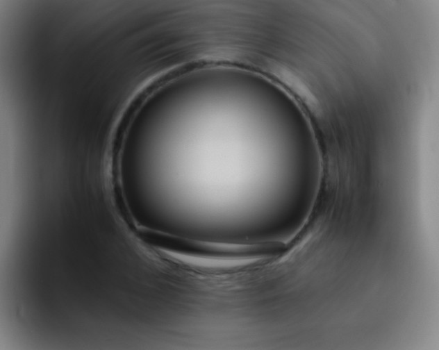 X0000091470976200709241302