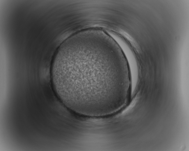 X0000091470977200709241302