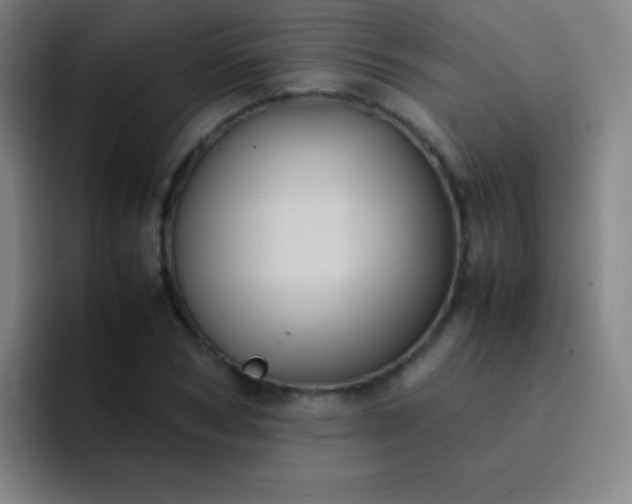 X0000091470978200709241302