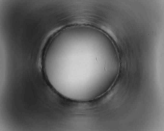 X0000091470979200709241302