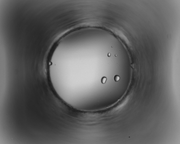 X0000091470981200709241302