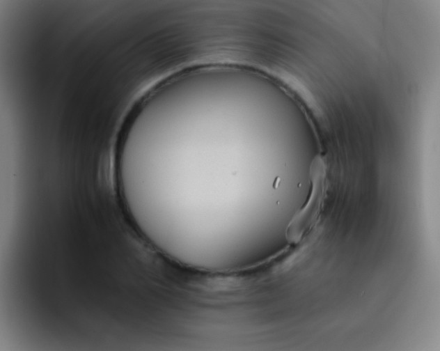 X0000091470982200709241302