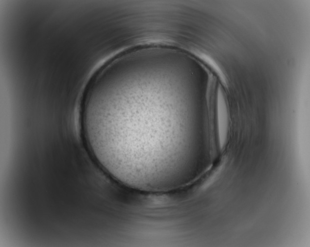 X0000091470983200709241302