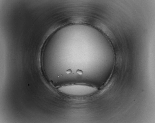 X0000091470986200709241302