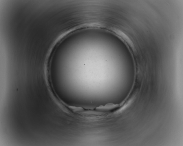 X0000091470989200709241302