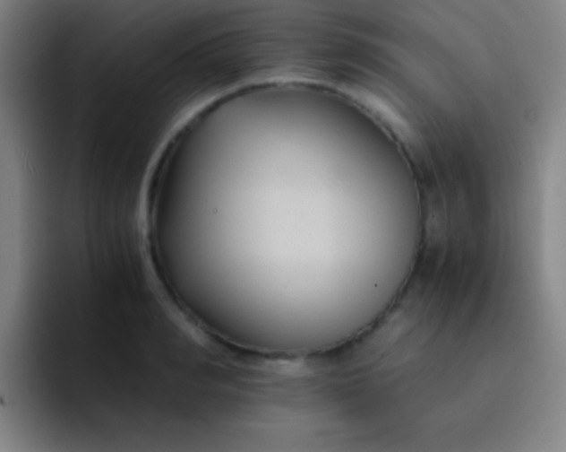 X0000091470990200709241302