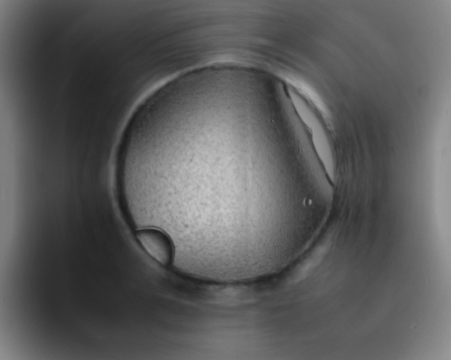 X0000091470991200709241302