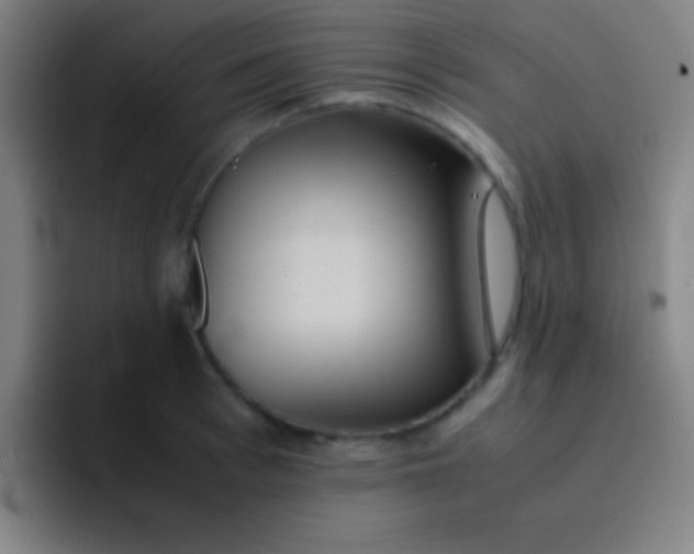 X0000091470993200709241302