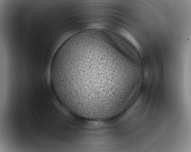 X0000091470994200709241302