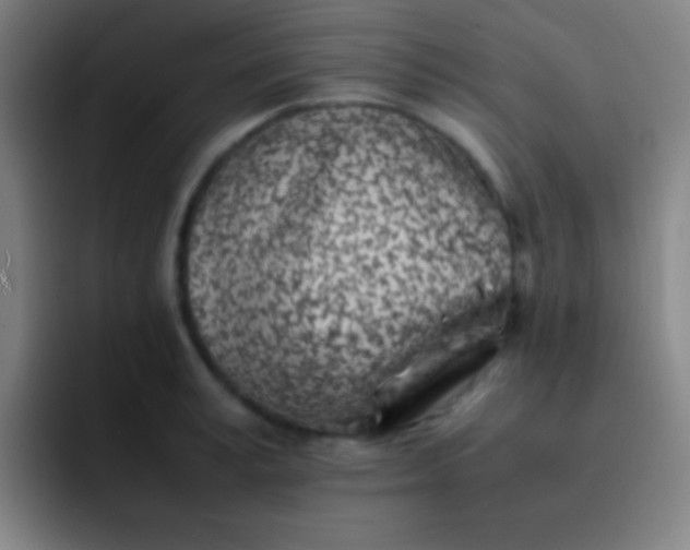 X0000091470995200709241302