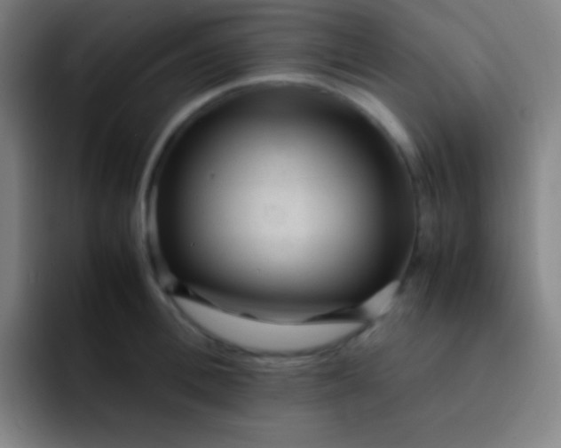 X0000091470996200709241302