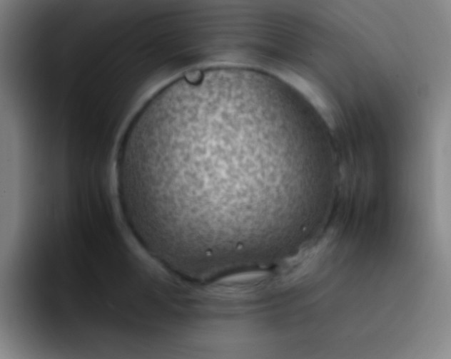 X0000091470998200709241302