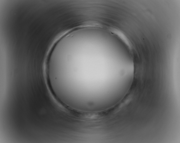 X0000091471003200709241302