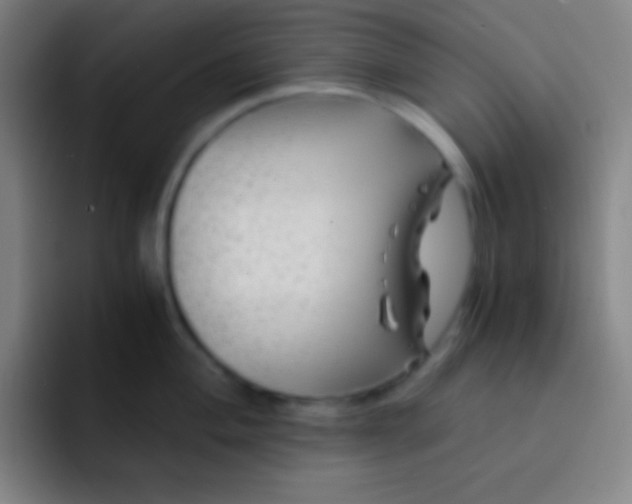 X0000091471004200709241302