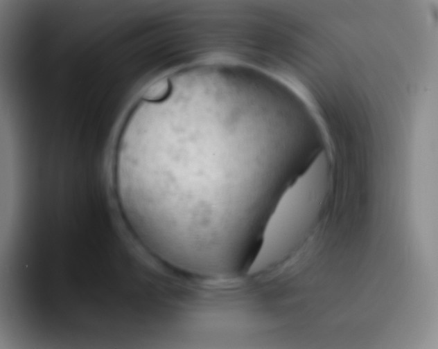 X0000091471008200709241302