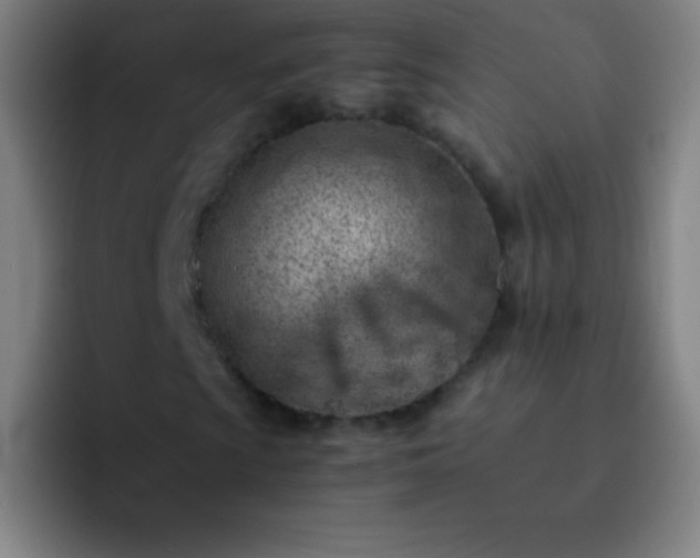 X0000091471009200709241301