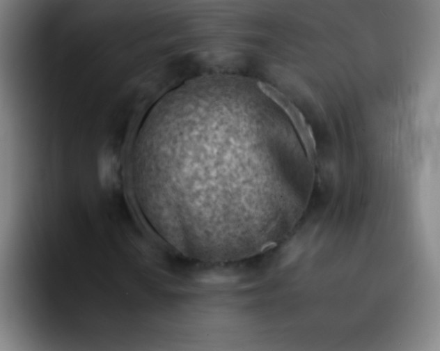 X0000091471010200709241301