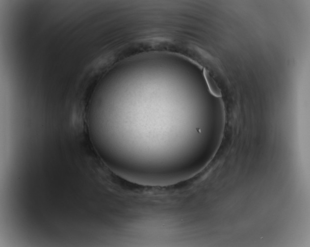 X0000091471014200709241301