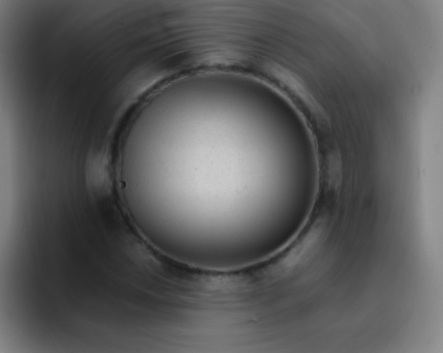 X0000091471018200709241301