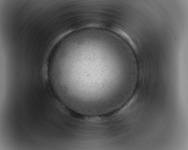 X0000091471019200709241301