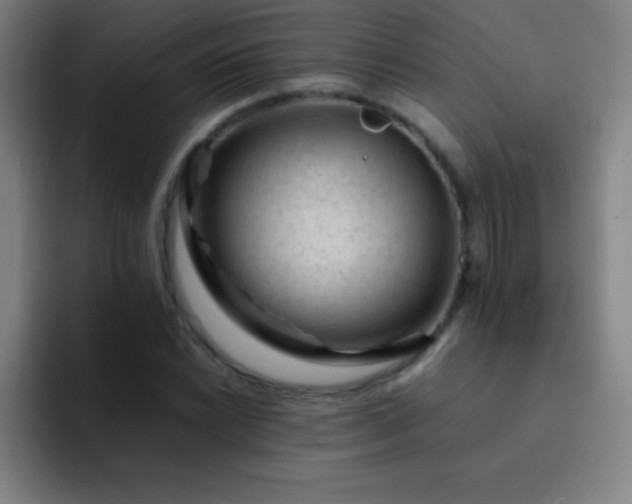 X0000091471022200709241301