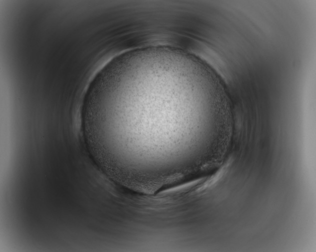 X0000091471023200709241301