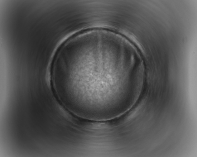 X0000091471024200709241301