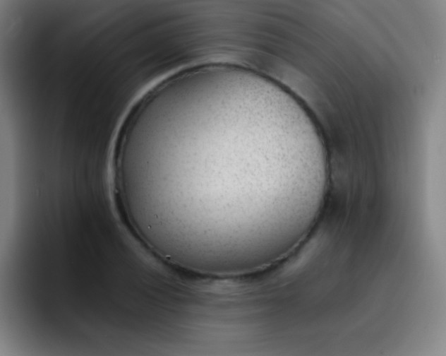 X0000091471028200709241301