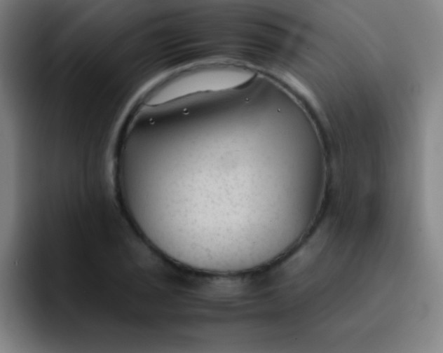 X0000091471029200709241301