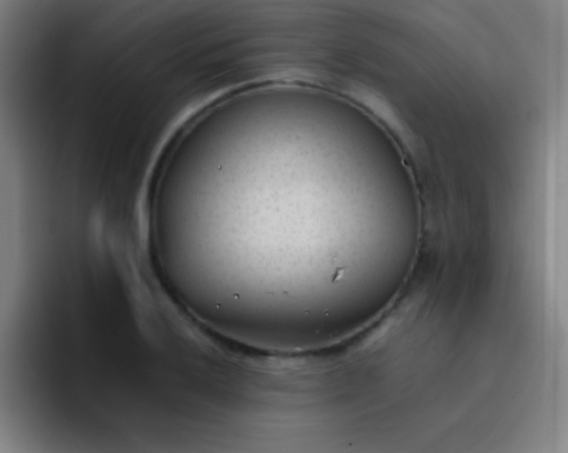 X0000091471032200709241302