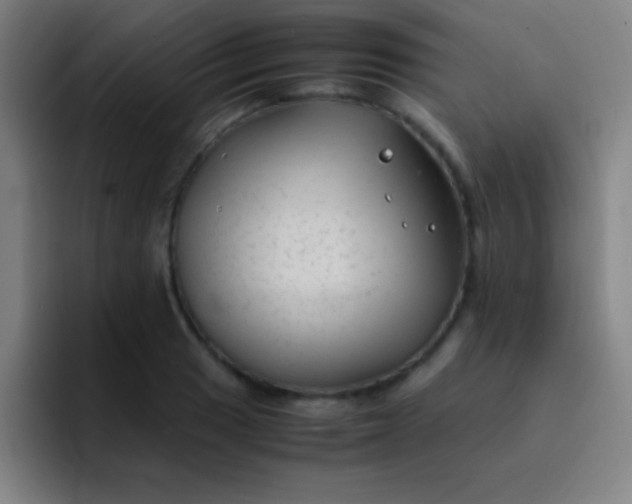 X0000091471033200709241302