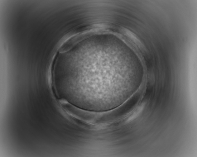 X0000091471034200709241302