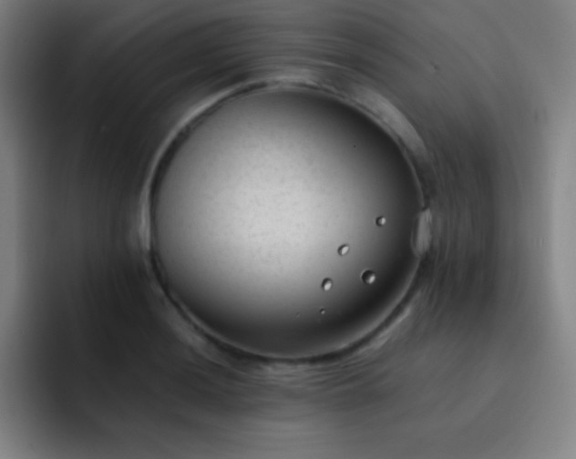 X0000091471036200709241302