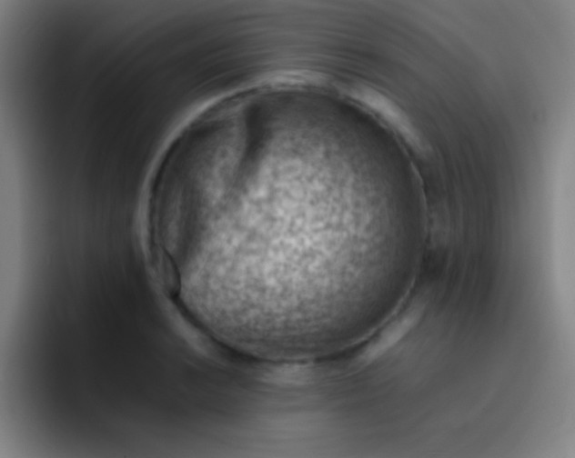 X0000091471038200709241302