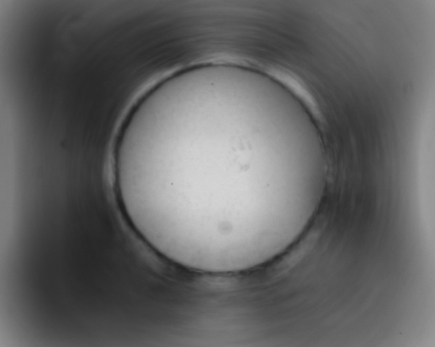 X0000091471040200709241302