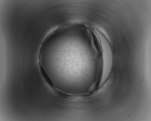 X0000091471042200709241302