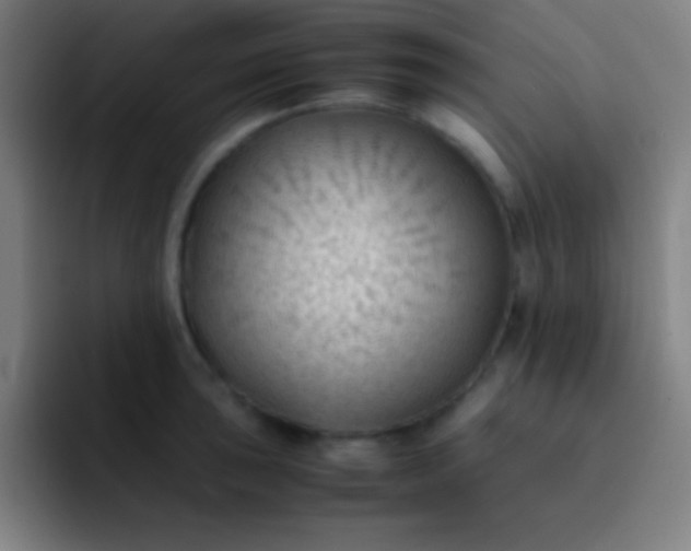 X0000091471043200709241302