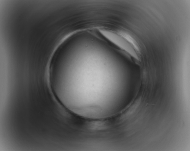 X0000091471047200709241302