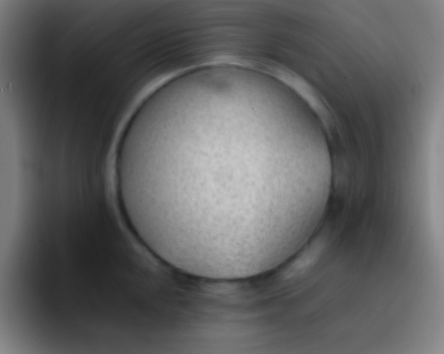 X0000091471048200709241302