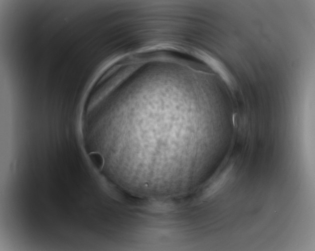 X0000091471050200709241302