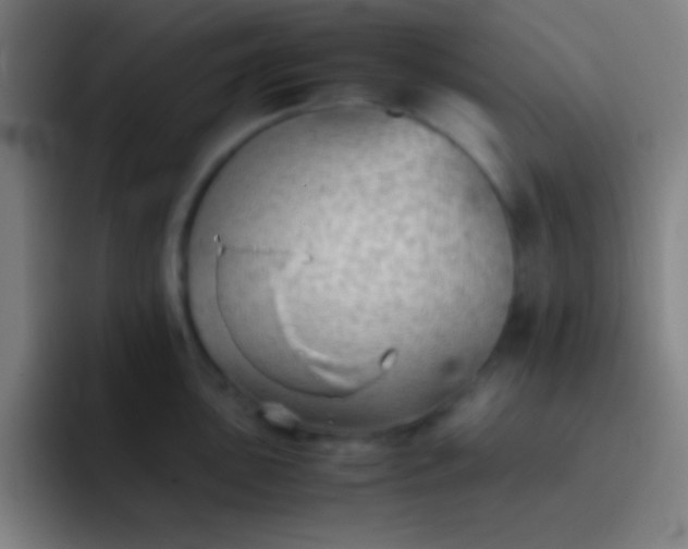 X0000091471051200709241302