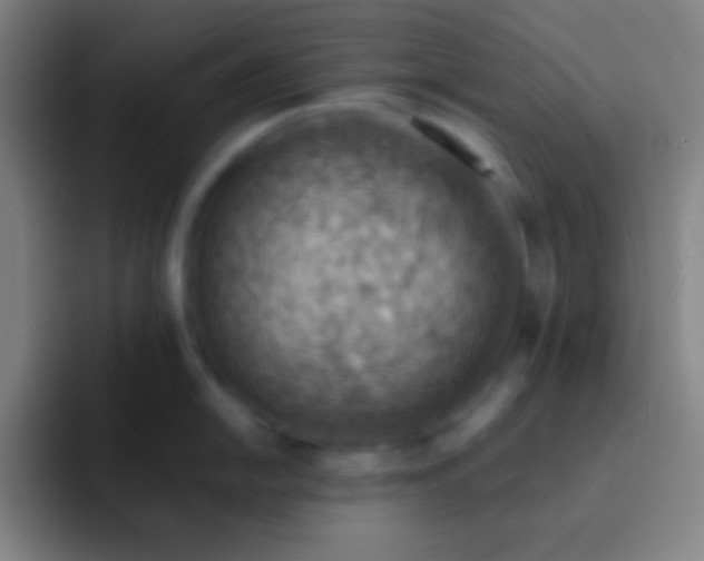 X0000091471054200709241302