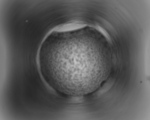 X0000091471055200709241302