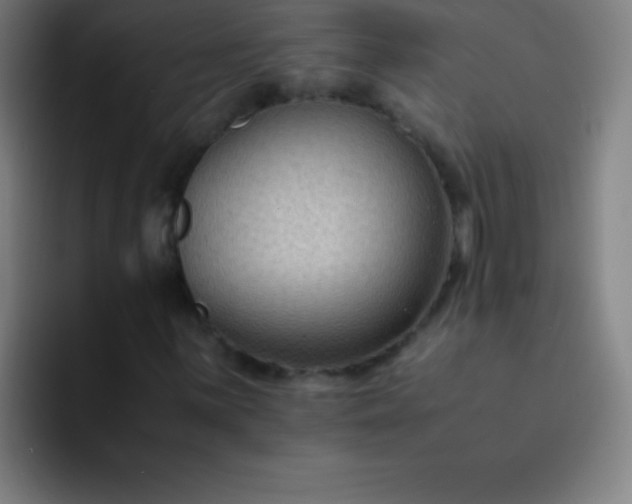 X0000091471059200709241301