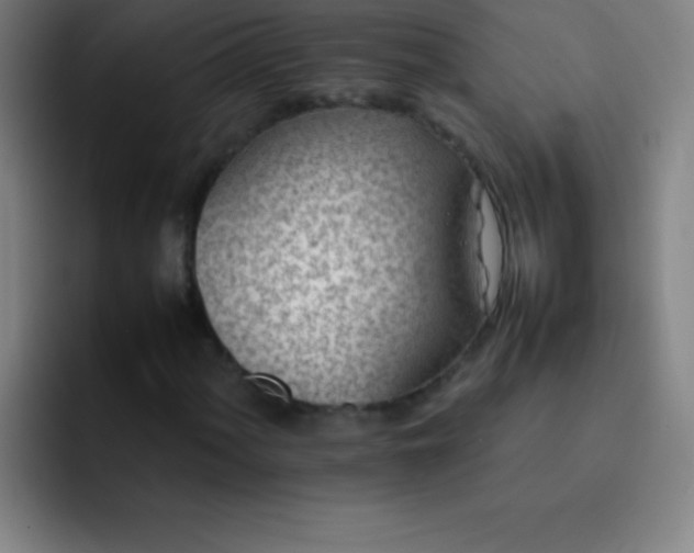 X0000091471060200709241301