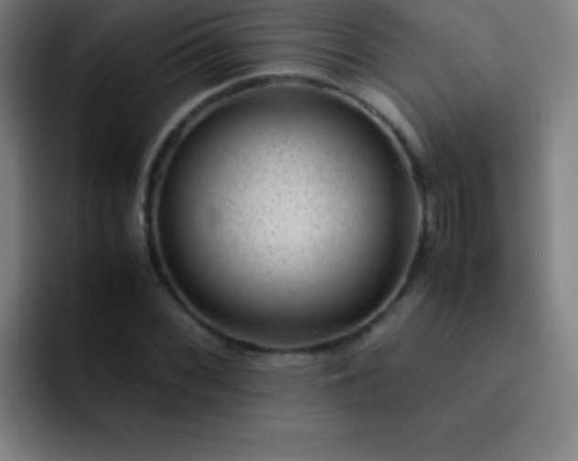 X0000091471068200709241301