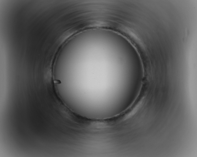 X0000091471073200709241301